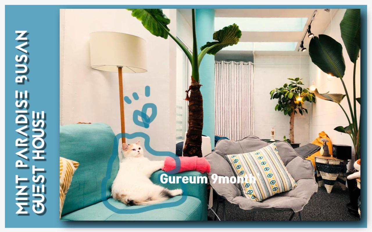 Mint Paradise Busan Dış mekan fotoğraf